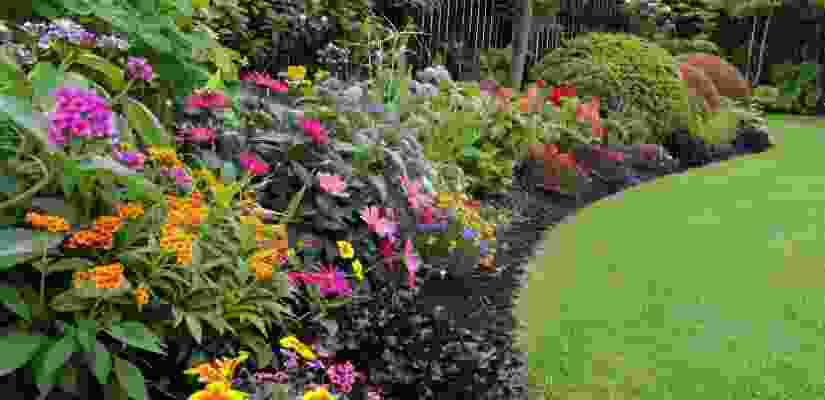 blog-detail-1-04